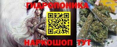 прущие крисы Анапа